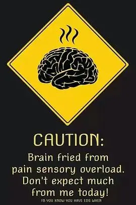 《大脑超载》:烧脑科幻的极限,意识与现实的边缘