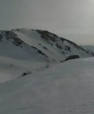 《日本印象派通往白山花田的路》:光影流动的艺术之旅与心灵的洗涤