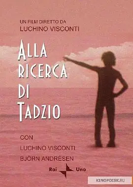 《寻找塔奇奥》：一场关于爱与失去的朝圣之旅，谁是你的塔奇奥？