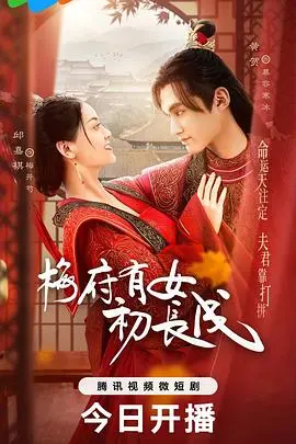 《梅府有女初长成》：看古代版'女儿当自强'，小家碧玉的励志人生！